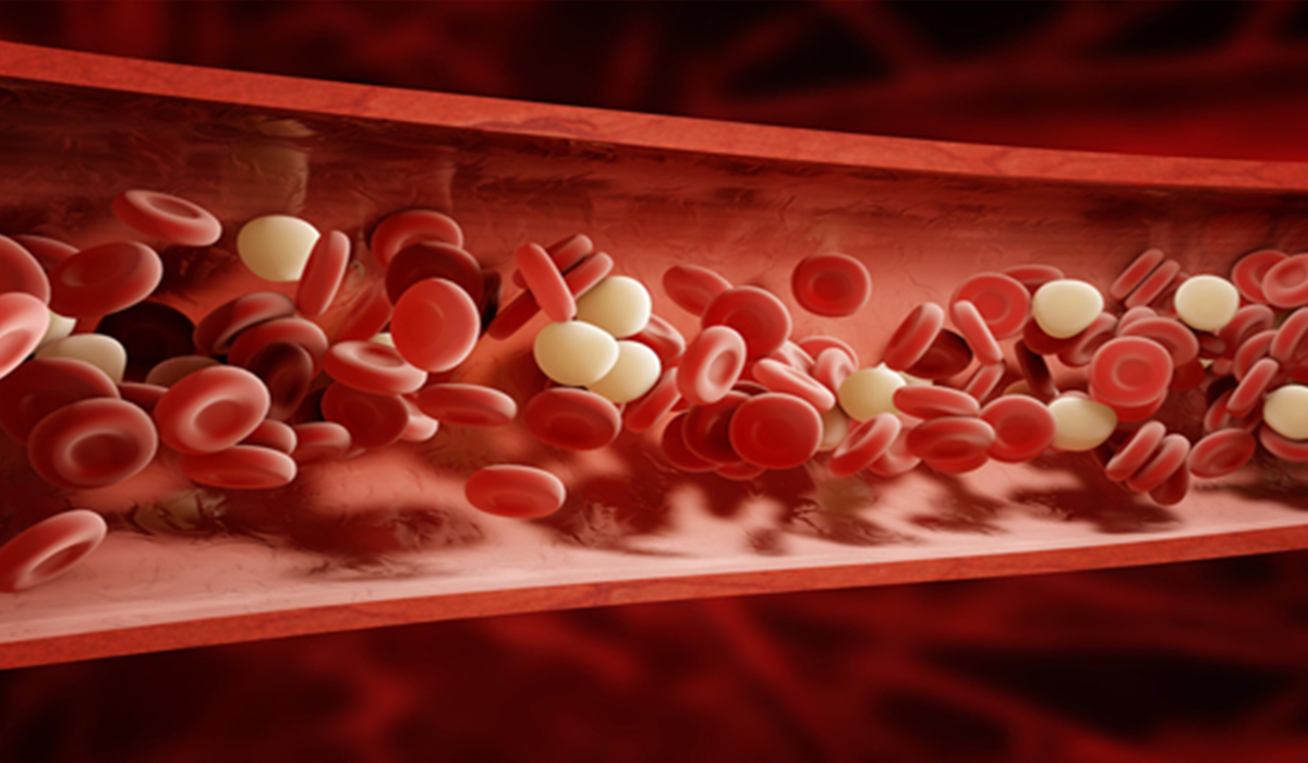 Artificial Blood: How Blood Substitutes Could Help Emergency Care - Cover Image