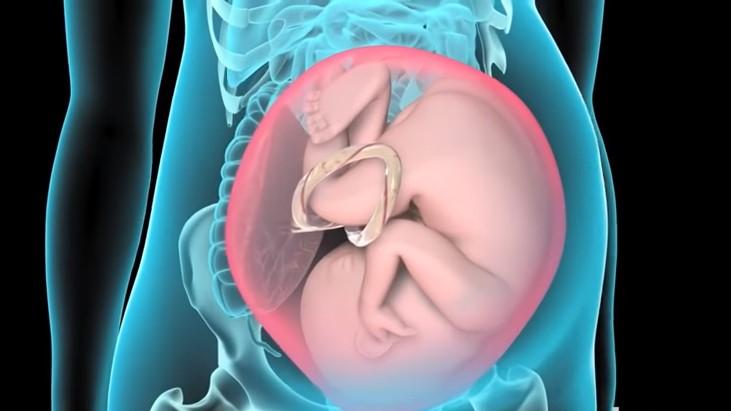 Medical Virtual Reality: How VR Can Support Care and Training - Cover Image